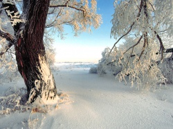 Русская зима фото